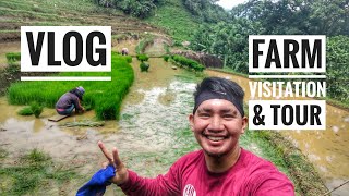 Vlog: "FARM VISITATION & TOUR" Part 1 | Farmer's Son | Igorot Dreamer | Buhay Probinsiya