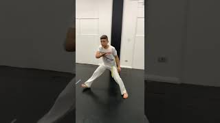 Solo Luizinho capoeira raça #capoeira