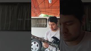 Liveloud-Reaching(Guitar solo cover)