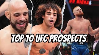 Top 10 UFC Prospects 2024 (Updated)