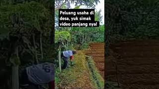 Ide usaha modal kecil #viralvideo #peluangusaha