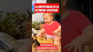 La importancia de la Actividad Sensorial en bebés#estimulaciontemprana #estimulacionsrnsorial #bebe