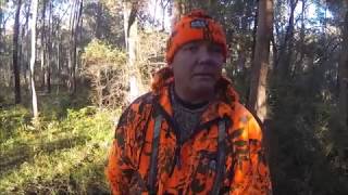 Seeking Sambar Deer in North East Victoria, Australia, Episode 3