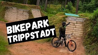 SCHAFFE ICH ENDLICH DEN SPRUNG? / Bikepark Trippstadt / Propain Tyee / 2024 / MTB Enduro / Freeride