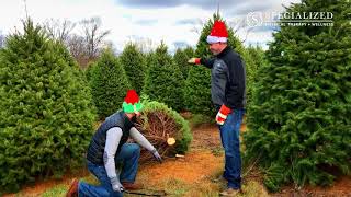 How to Lift a Christmas Tree Without Breaking Your Back!