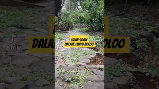 udan-udan dalane lunyuu boloo.... #viralvideo #viraltiktok #viralshorts