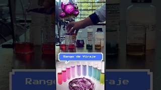 Indicador de pH con agua y repollo morado FACIL #química