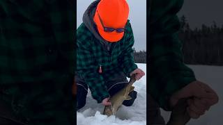 The countdown is on for my most favorite time of the year 🎣 #icefishing #laketrout #northmainewoods