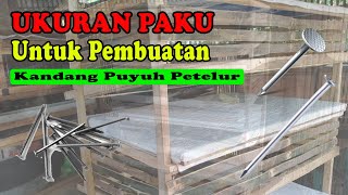 Ukuran Paku Untuk Membuat Kandang Puyuh Petelur