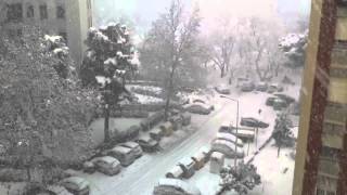 Neve Bologna 23 Febbraio 2013 www.meteo-bologna.it