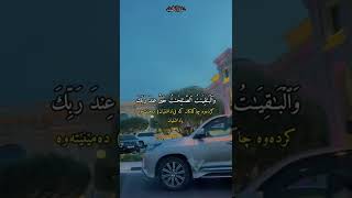 ٱلۡمَالُ وَٱلۡبَنُونَ زِینَةُ.. القارئ بيشةوا كردي ♥️♥️