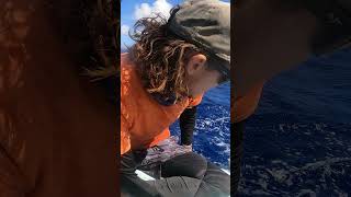 MARLIN GEANT à la ligne à main #antilles #fishing #caraïbes #fish #exo #Marlin #pêche #caraïbes