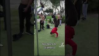 He got crazy 😂 #calisthenics #muscleup #planche #pullups #streetworkout