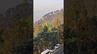 Blue Pine Resort Lansdowne Room Balcony View, Uttarakhand #lansdowne #shorts #youtubeshorts