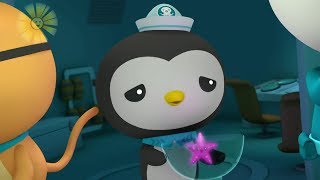 Octonauts - The Lost Sea Star