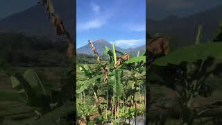 Petani dan alam sekitar | indonesia subur