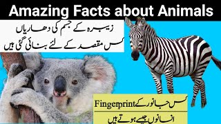 Amazing facts about animals || Facts about Shark, Fish, zebra, bear, komodo, Frog || Animal facts