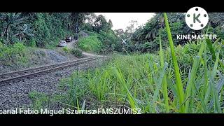 Trem  graneleiro carrregado com soja e milho