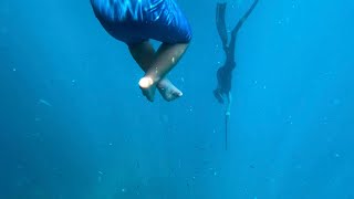 Spearfishing off Phuket Thailand