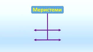 Інтелект України, біологія, частина ІII, урок 4, завд. 4