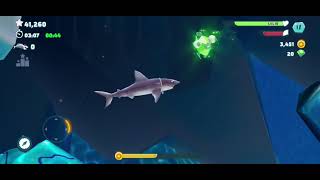 Hungry Shark - survival