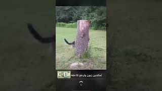 حالات واتس 😂😂 [ لما تدين زبون وترجع تلاحقه 💸