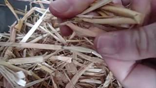 ASMR Nature | Straw Crackling Sound Relaxing