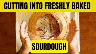 Cutting Sourdough | A lookback at how we started our Sourdough journey! Circa 2021