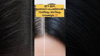 കണ്ടാൽ ഓടിച്ചോ.. 😱poppy vlogs