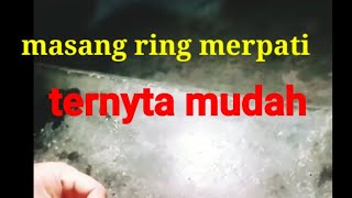 Tetorial pemasangan ring merpati..resing_temen-temen.pencita merpati..joss..lanjutkan..