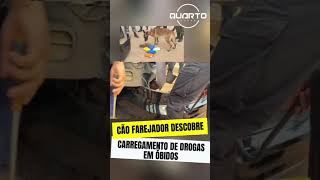 CÃO FAREJADOR DESCOBRE CARREGAMENTO DE DR0G4S EM ÓBIDOS #oquartopoder #notícias #amazonia