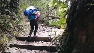 RAMPA MENOA ~ Trying To Be Malim Gunung At Mount Kinabalu