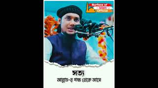 সত্য আল্লাহর পক্ষ থেকে আসে। Abu Toha Muhammad Adnan.. #abutoha #viralvedio #abutoha