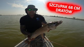 Dratów / Szczupak 68 cm, koluch i okonie na spinning