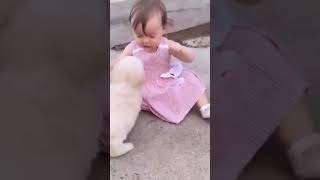 Baby and funny whatsapp video