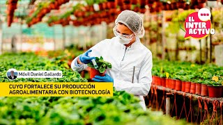 Cuyo fortalece su producción agroalimentaria con biotecnología