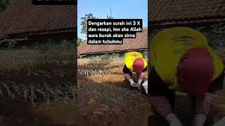 Begitu dahsyat nya surat Al Ikhlas #motivation #quotes #katakatabijak #motivasihidup #viralvideo