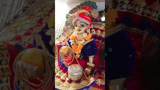 Jai shree krishna #kanha #laddu #krishna #ladoogopal #shyam #sorts #reels #song #geeta #viralvideo