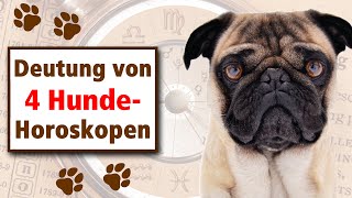 Tier-Astrologie mit 4 Hunde-Horoskopen - Ursachen & Lösungswege bei verhaltens-auffälligen Tieren(1)