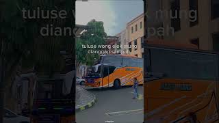 story bus #busmaniacomunityindonesia #busmania #bismania #buspariwisata #2024