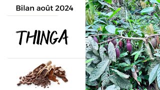 THINGA - bilan août 2024