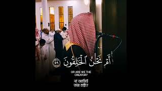 বাম দিকের লোকদের বর্ণনা 😭🥺 #shorts 3 #emotional_recitation #luhaidan#surahwaqiah #crying #recitation