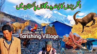 Tarishing Village Pakistan | Favorite Village of  Foreigners | Beautiful Village in Pakistan