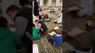 Halaqah Qur'an di Mesjid Nabawi