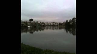 Davit Lane, Redwood Shores