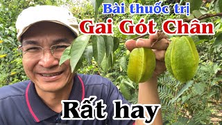 Bài thuốc trị Gai Gót Chân rất hay. @PHAN HẢI Vlog