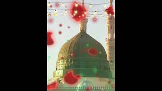 Eid Miladun Nabi || Ay_Hasnain_Ke_Nana || Status || #short video#