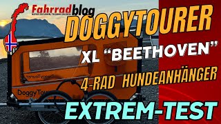 DoggyTourer XL "Beethoven" 4-Rad: Der perfekte Hundeanhänger im Test auf den Lofoten