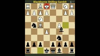 Blackburne Shilling Gambit #chess #kingsacrifice #shorts #chesstraps