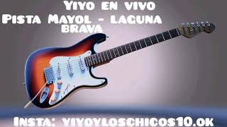 Yiyo en vivo Laguna Brava